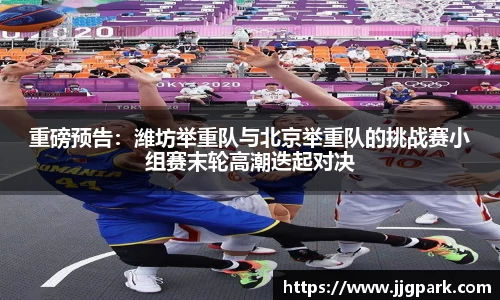 凤凰联盟平台